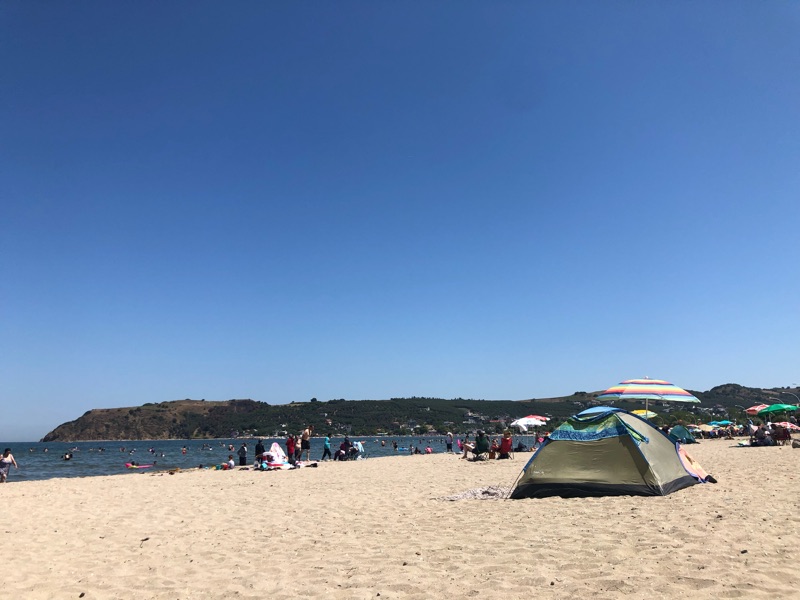 Sculpture Beach photo 2