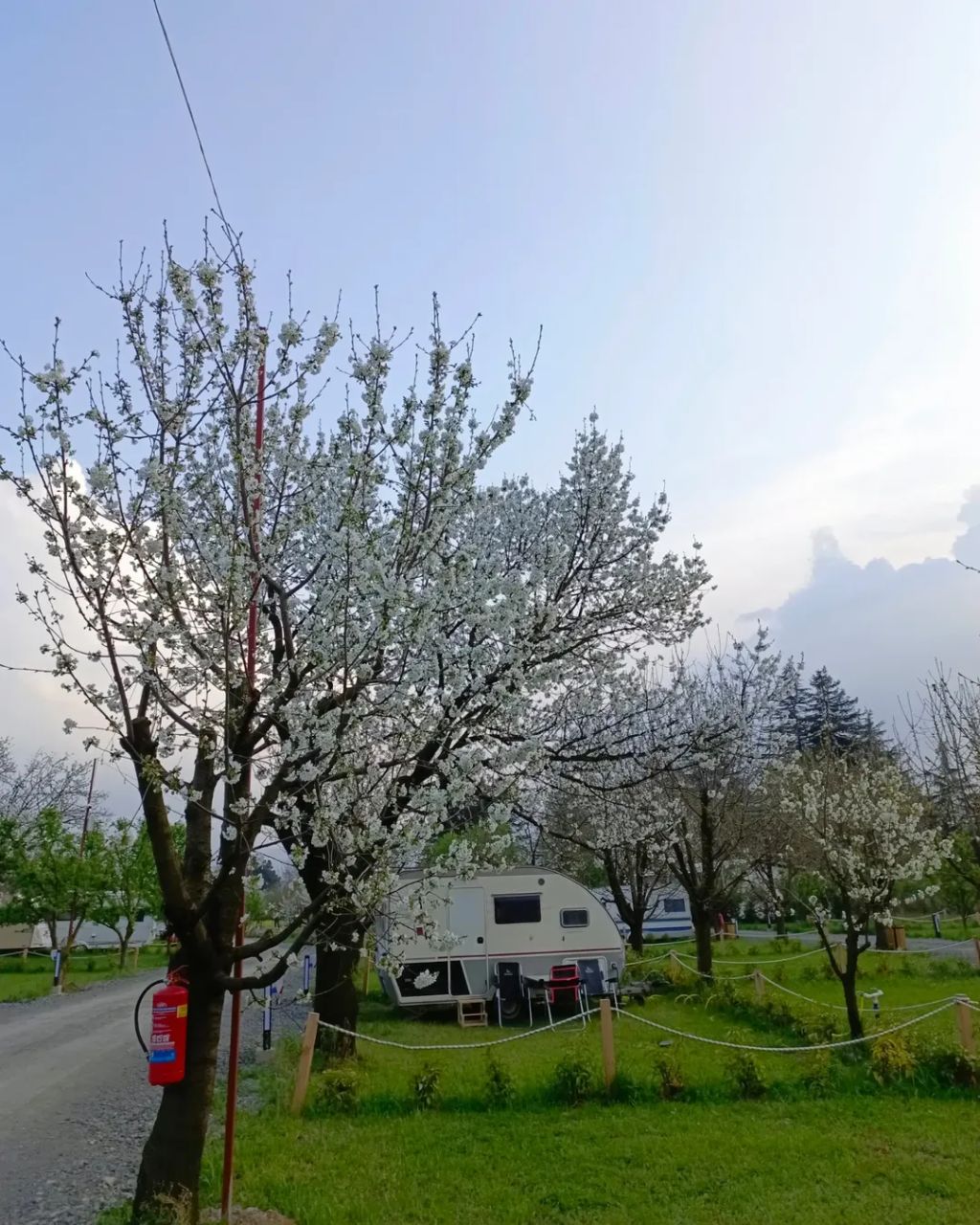 Caravan Life Sapanca photo 3