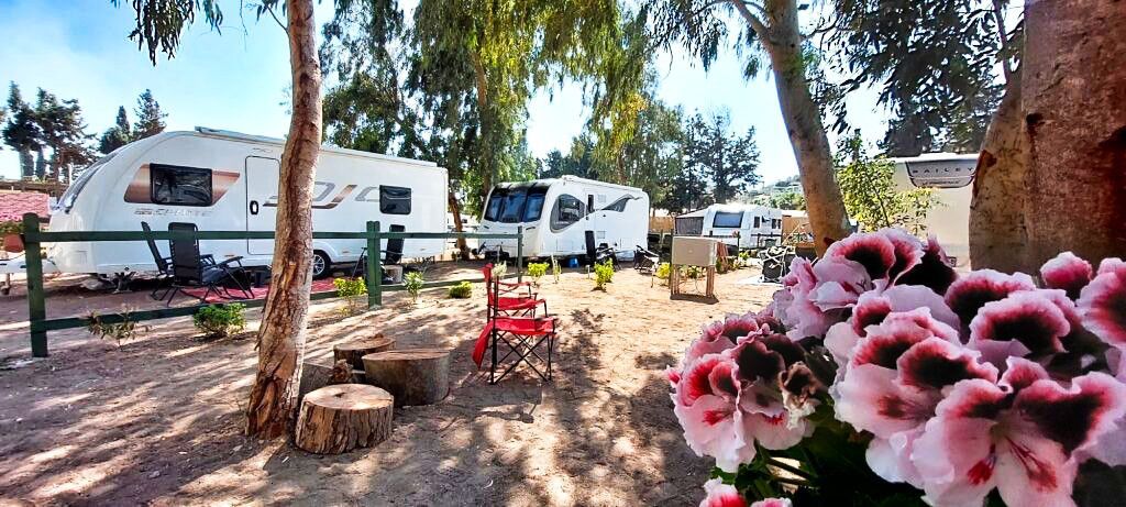 Dwarf Camping photo 2