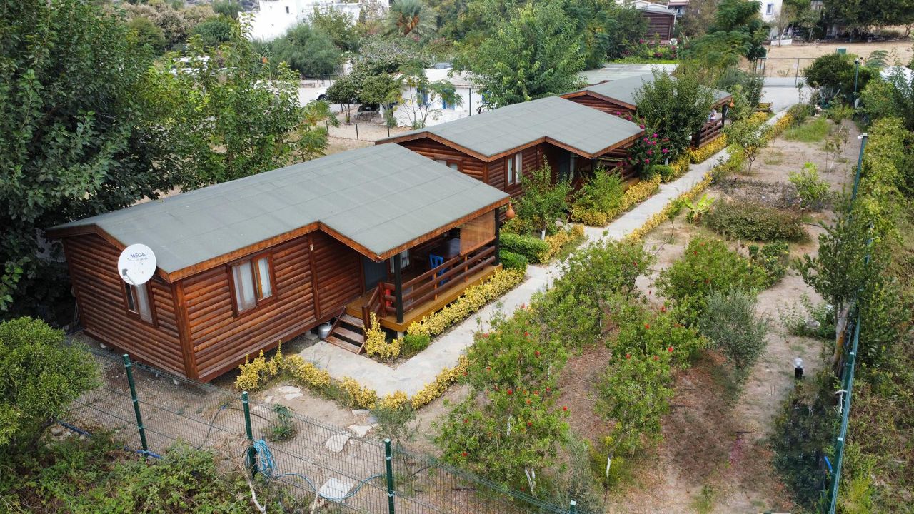 Defne Wood Home photo 5