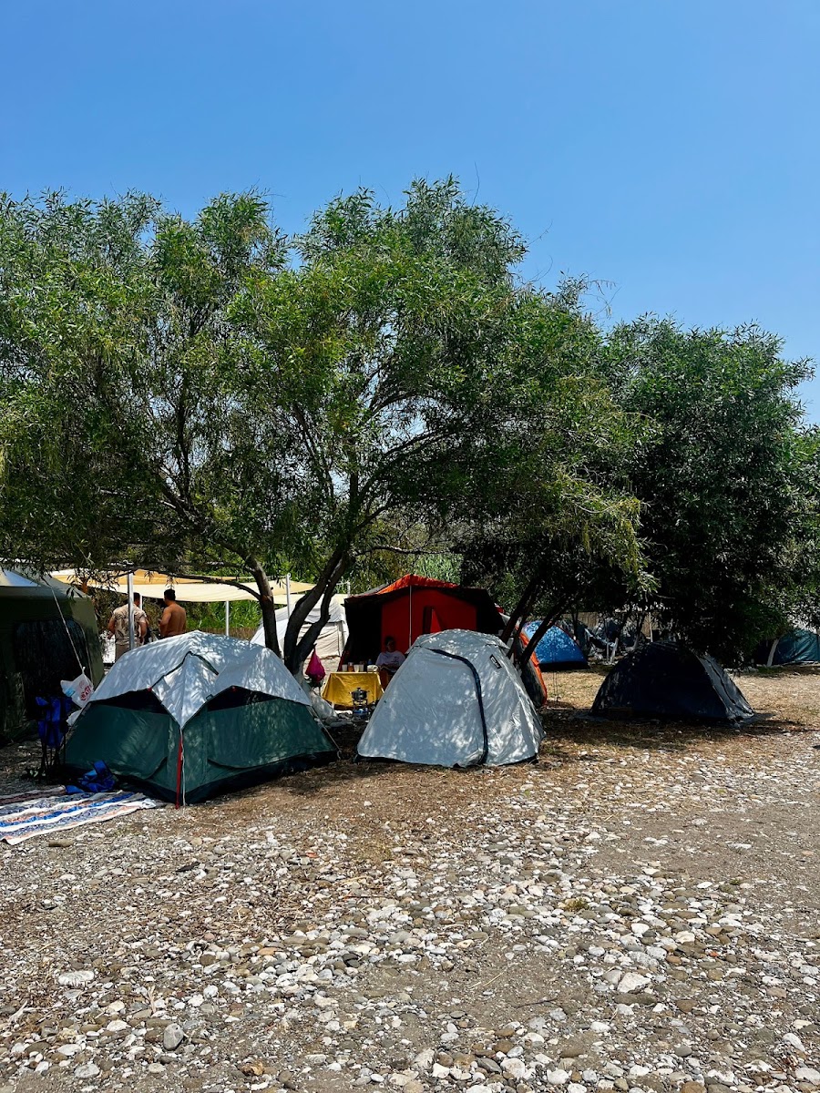 Lila Beach Camp & RV photo 2