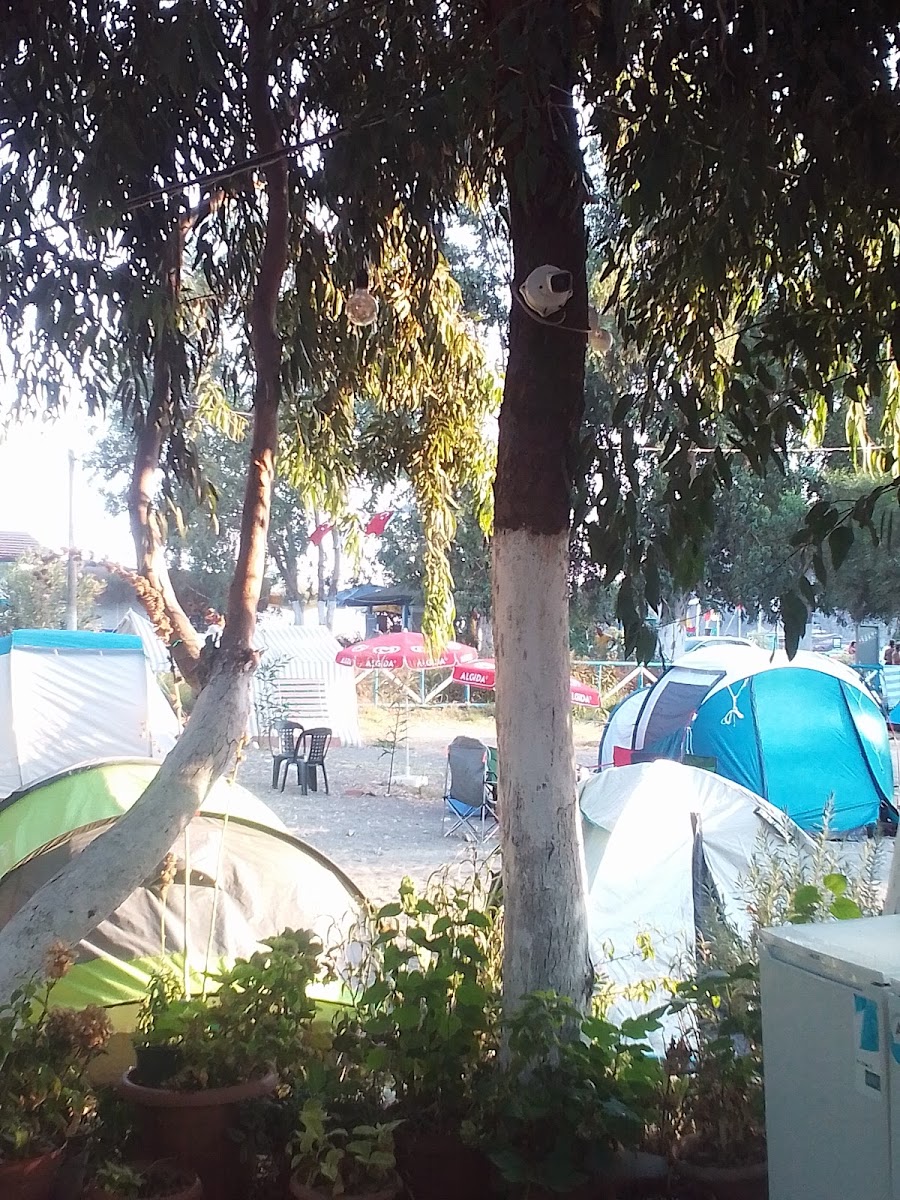 Tea Camping Fethiye photo 4