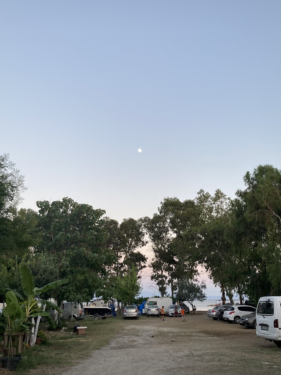 Göynügür Kamp photo 4