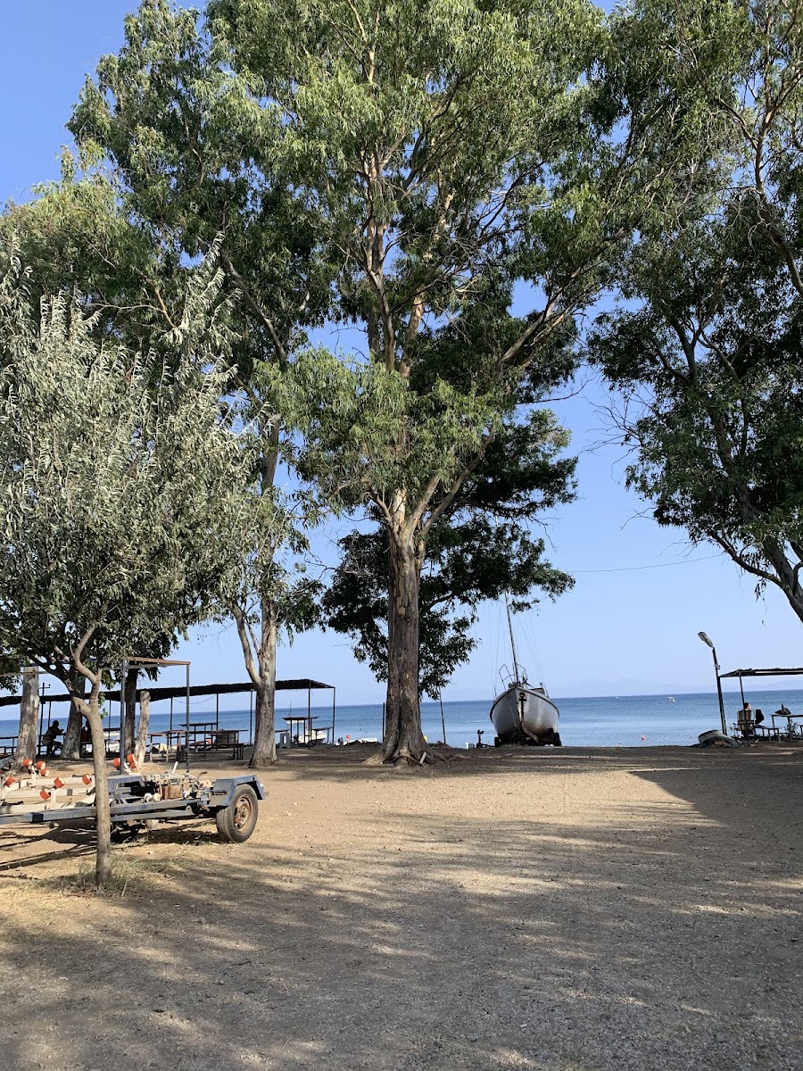 Göynügür Kamp photo 2