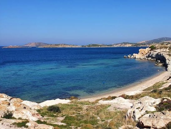 Çanak Koyu photo 2