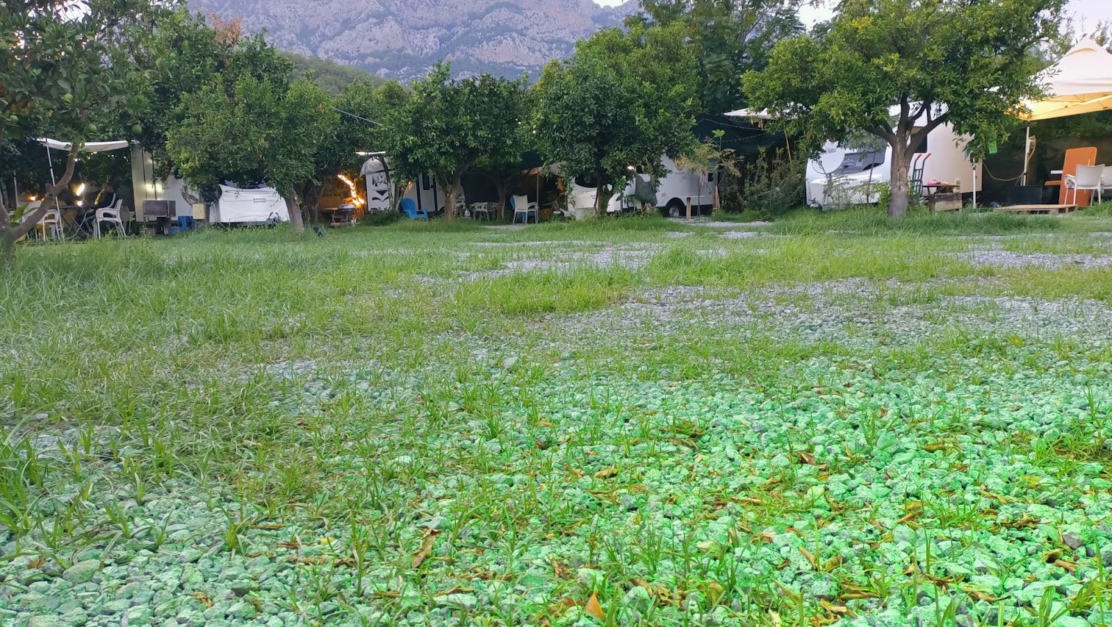 Sun RV Hotel - Photo 2