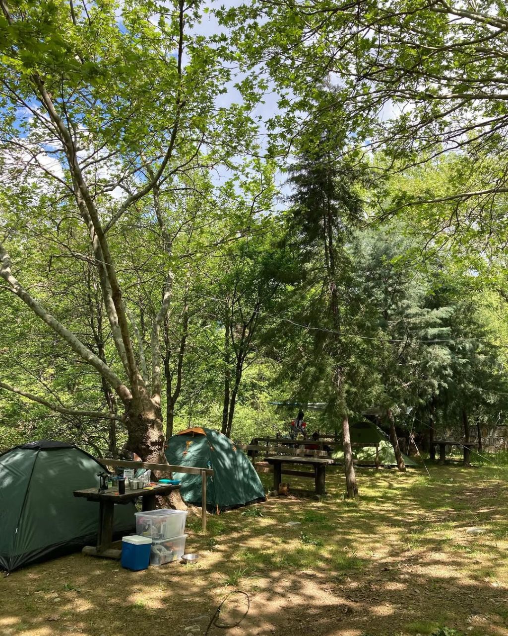 Kazdak Kamp - Photo 3